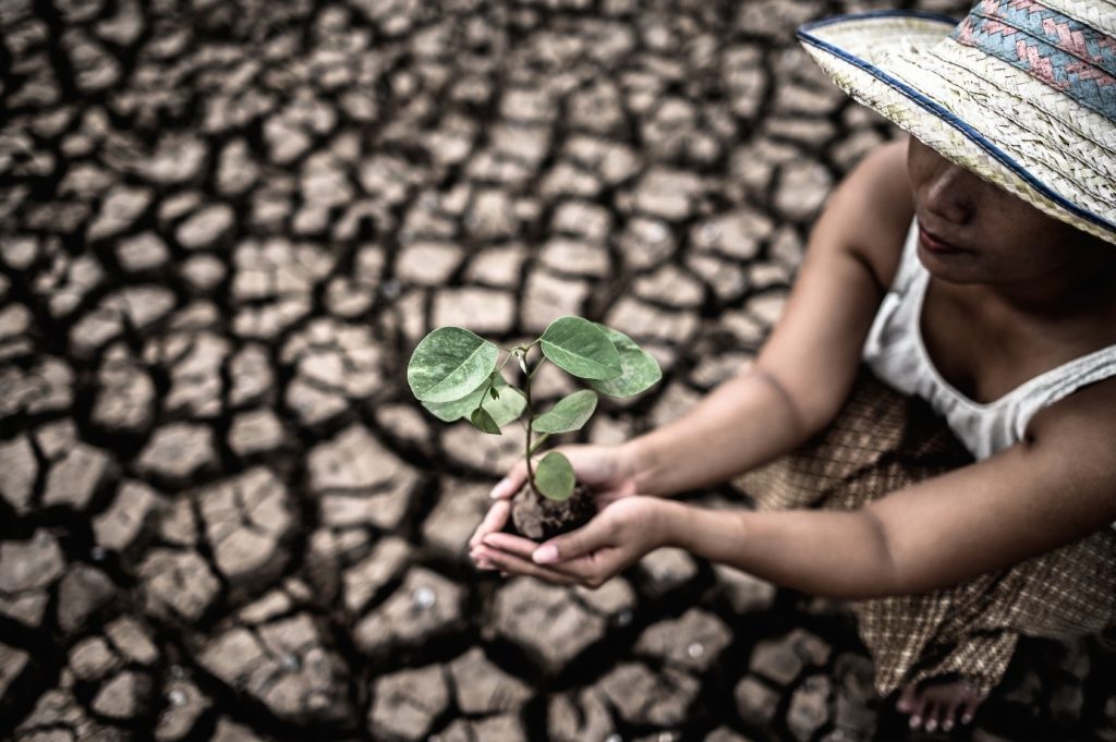 Réchauffement de la planète et alarme sur le changement climatique