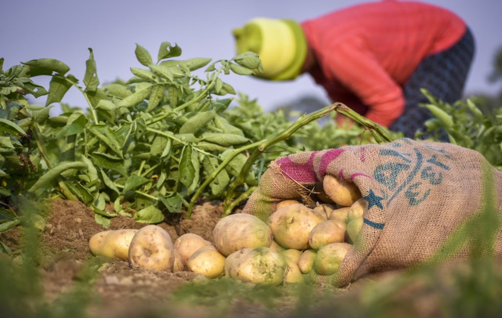 La FAO Obtient 70 Millions de Dollars pour des Projets Environnementaux dans 28 Pays