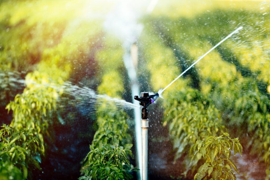 La voie à suivre pour les investissements agricoles en 2026 : l&rsquo;irrigation et la gestion de l&rsquo;eau au premier plan