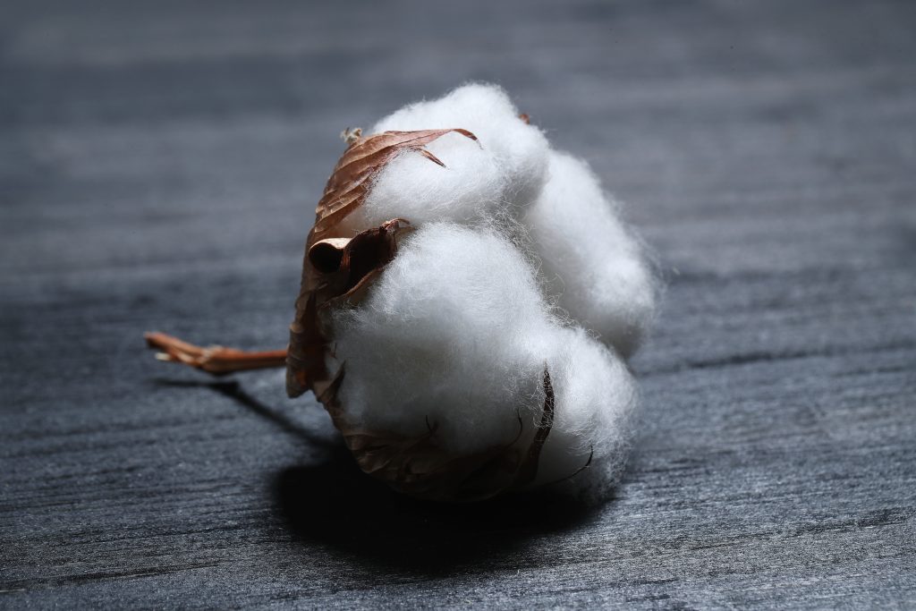 Programme de formation des fournisseurs Better Cotton