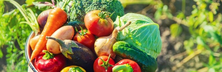 Le Conseil de l&rsquo;UE ouvre une nouvelle ère pour l&rsquo;agriculture biologique : La simplification et le contrôle strict commencent
