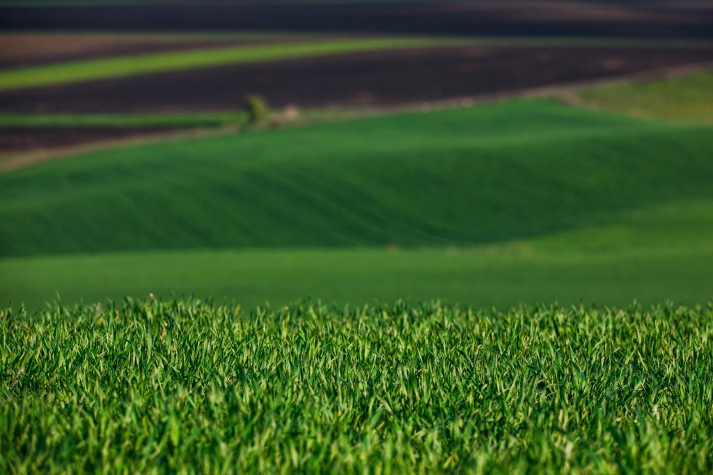 Netafim and Virridy Sign Partnership Agreement for ‘Carbon Credit Programme in Agriculture