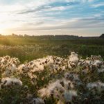OCA's Global Growth and Sustainability Goals