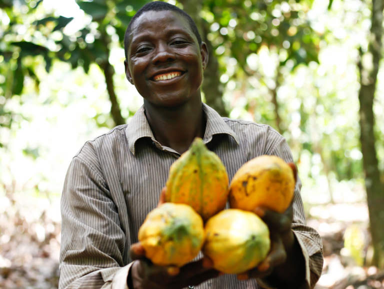 Rainforest Alliance lance une consultation sur une nouvelle norme d&rsquo;agriculture durable pour le cacao