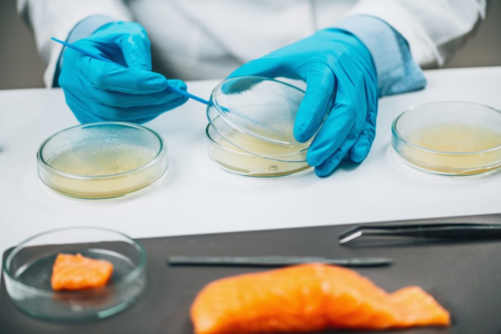 Le Règlement Turc Du Codex Alimentaire Sur Les Critères Microbiologiques a été Publié