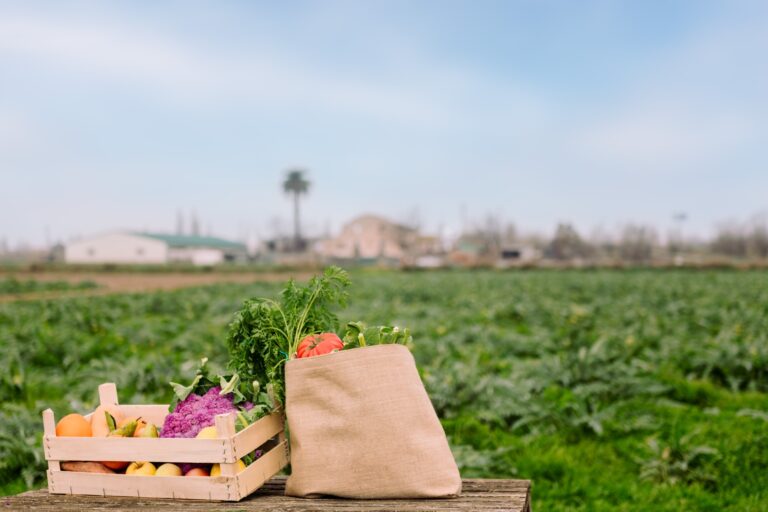 USDA Introduces New Certification Requirements for Organic Product Importers