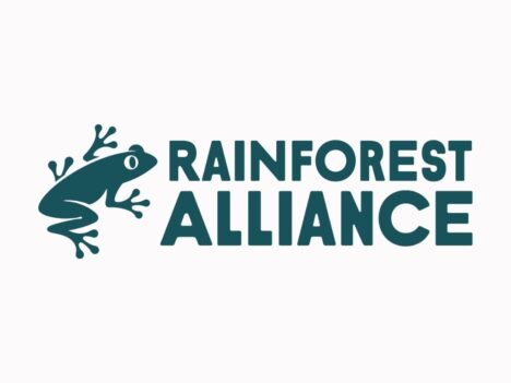 Une nouvelle ère pour Rainforest Alliance : mise à jour de la politique d’étiquetage et de déclaration