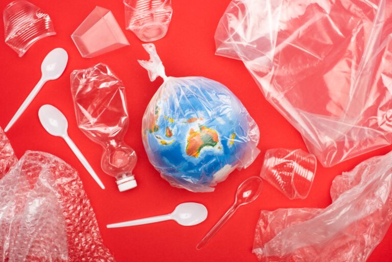 La loi française sur l&rsquo;économie Circulaire:Nouvelles mesures contre la pollution plastique et démarches de développement durable